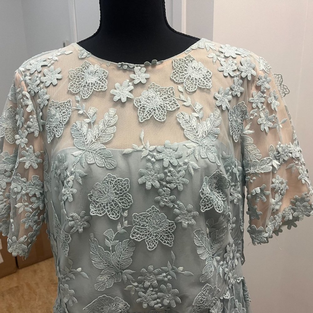Monique Lhuillier Lace Pattern Long Light Blue Floral Mesh Fit Flare - Picture 6 of 8
